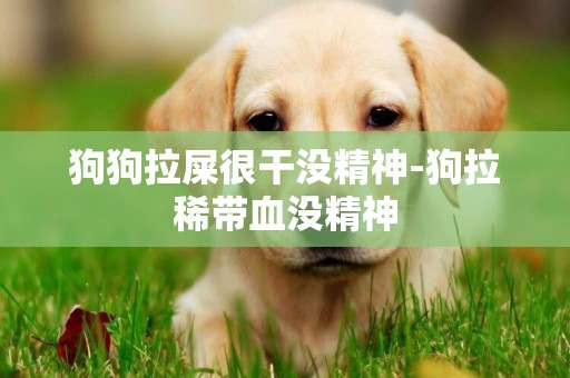 狗狗拉屎很干沒精神-狗拉稀帶血沒精神