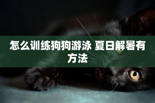 怎么訓練狗狗游泳 夏日解暑有方法
