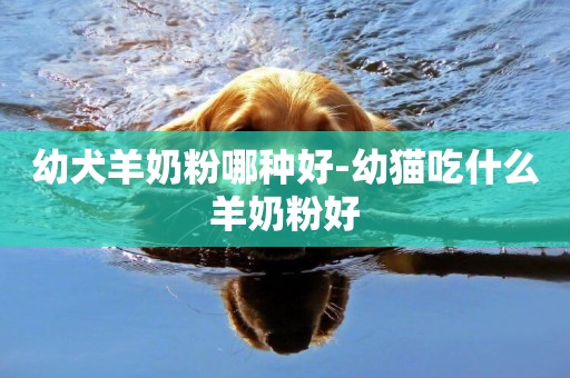 幼犬羊奶粉哪種好-幼貓吃什么羊奶粉好