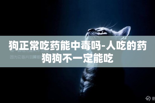 狗正常吃藥能中毒嗎-人吃的藥狗狗不一定能吃