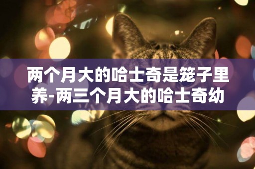 兩個月大的哈士奇是籠子里養-兩三個月大的哈士奇幼犬怎么養