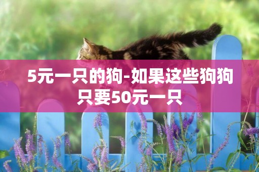 5元一只的狗-如果這些狗狗只要50元一只