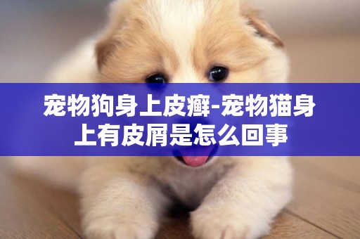 寵物狗身上皮癬-寵物貓身上有皮屑是怎么回事