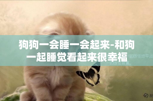 狗狗一會睡一會起來-和狗一起睡覺看起來很幸福