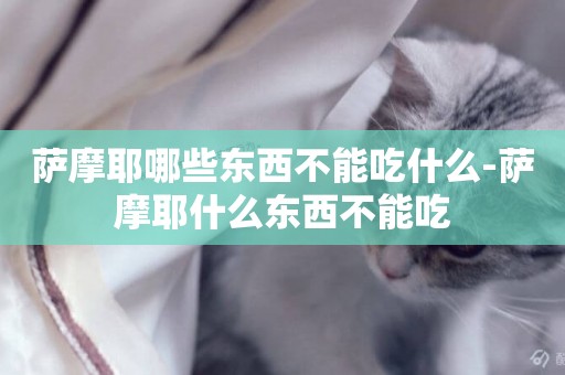 薩摩耶哪些東西不能吃什么-薩摩耶什么東西不能吃
