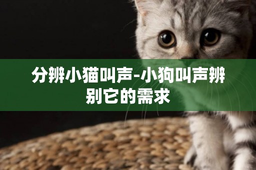 分辨小貓叫聲-小狗叫聲辨別它的需求