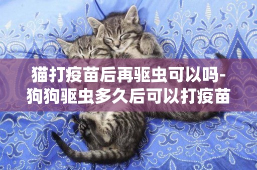 貓打疫苗后再驅蟲可以嗎-狗狗驅蟲多久后可以打疫苗