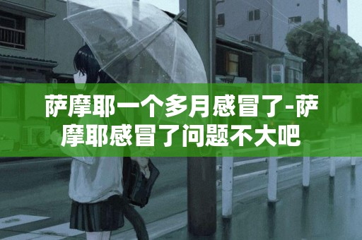 薩摩耶一個多月感冒了-薩摩耶感冒了問題不大吧