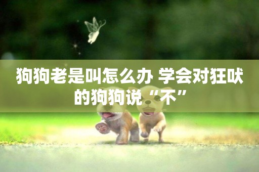 狗狗老是叫怎么辦 學會對狂吠的狗狗說“不”