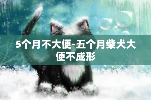 5個月不大便-五個月柴犬大便不成形