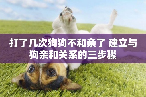 打了幾次狗狗不和親了 建立與狗親和關系的三步驟