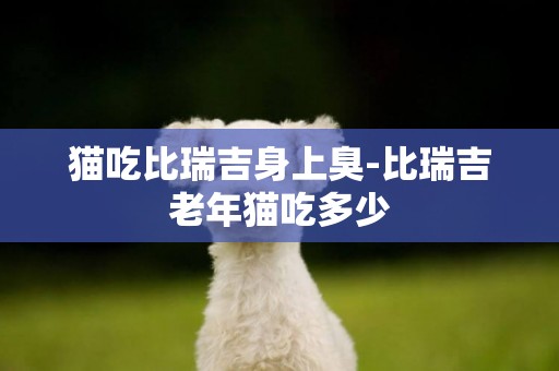 貓吃比瑞吉身上臭-比瑞吉老年貓吃多少