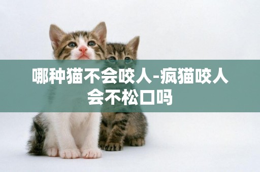 哪種貓不會咬人-瘋貓咬人會不松口嗎