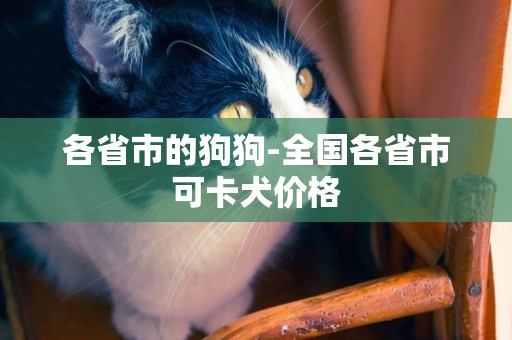 各省市的狗狗-全國各省市可卡犬價格