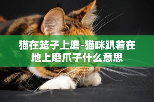貓在籠子上磨-貓咪趴著在地上磨爪子什么意思