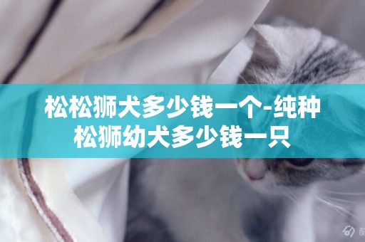 松松獅犬多少錢一個-純種松獅幼犬多少錢一只