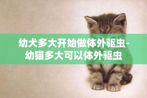 幼犬多大開始做體外驅蟲-幼貓多大可以體外驅蟲