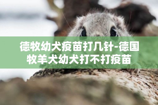 德牧幼犬疫苗打幾針-德國牧羊犬幼犬打不打疫苗