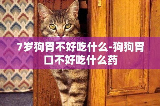 7歲狗胃不好吃什么-狗狗胃口不好吃什么藥
