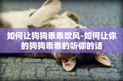 如何讓狗狗乖乖吹風-如何讓你的狗狗乖乖的聽你的話