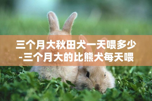三個月大秋田犬一天喂多少-三個月大的比熊犬每天喂多少狗糧