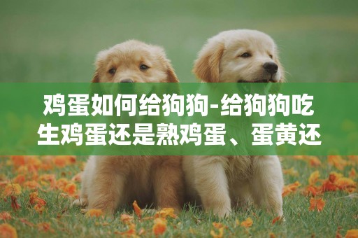 雞蛋如何給狗狗-給狗狗吃生雞蛋還是熟雞蛋、蛋黃還是蛋白