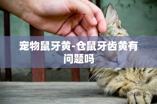 寵物鼠牙黃-倉鼠牙齒黃有問題嗎