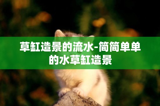 草缸造景的流水-簡簡單單的水草缸造景