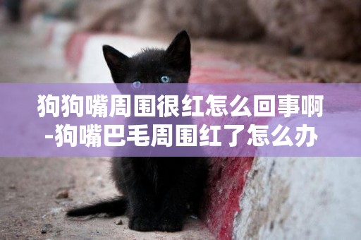 狗狗嘴周圍很紅怎么回事啊-狗嘴巴毛周圍紅了怎么辦