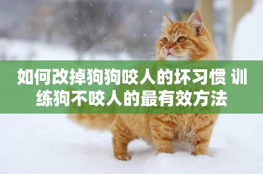 如何改掉狗狗咬人的壞習慣 訓練狗不咬人的最有效方法
