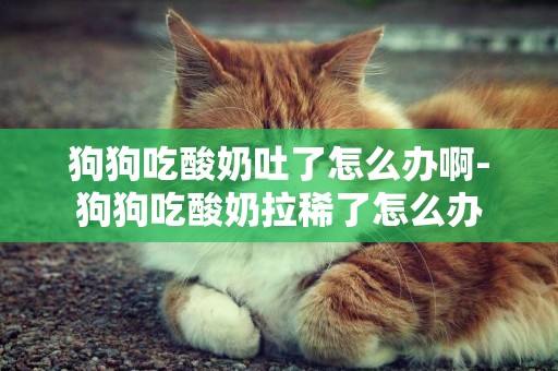 狗狗吃酸奶吐了怎么辦啊-狗狗吃酸奶拉稀了怎么辦