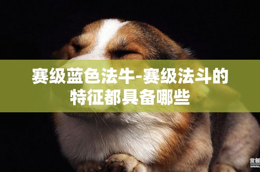 賽級藍色法牛-賽級法斗的特征都具備哪些