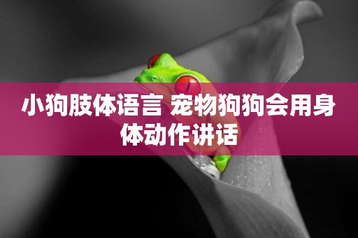 小狗肢體語言 寵物狗狗會用身體動作講話