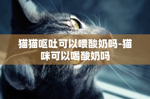 貓貓嘔吐可以喂酸奶嗎-貓咪可以喝酸奶嗎