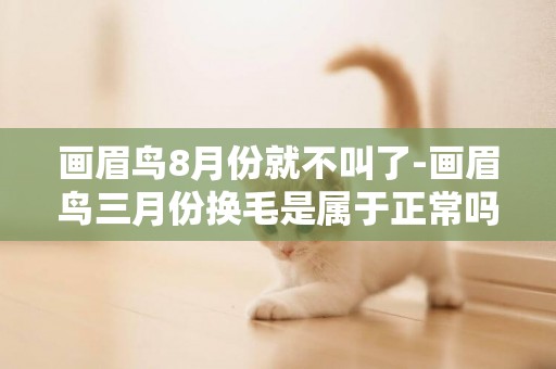 畫眉鳥8月份就不叫了-畫眉鳥三月份換毛是屬于正常嗎