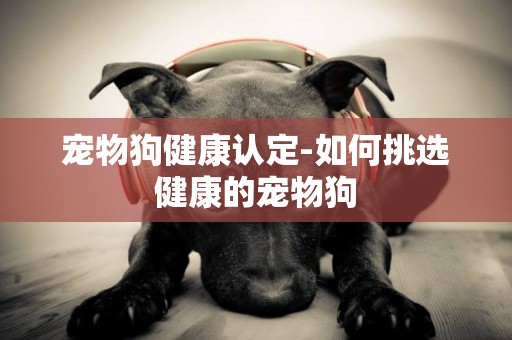 寵物狗健康認定-如何挑選健康的寵物狗