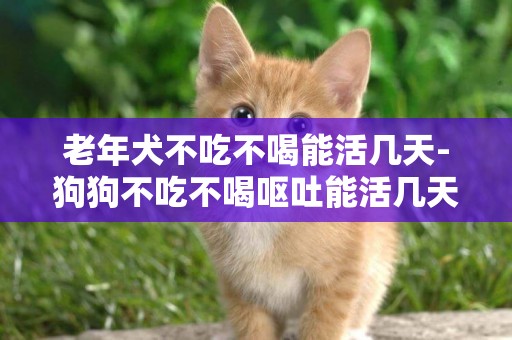 老年犬不吃不喝能活幾天-狗狗不吃不喝嘔吐能活幾天