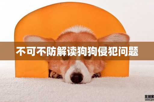 不可不防解讀狗狗侵犯問題