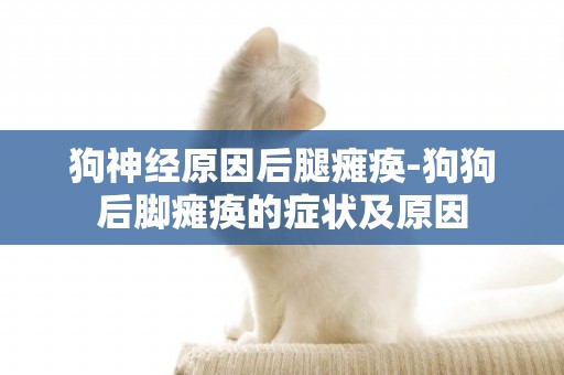 狗神經原因后腿癱瘓-狗狗后腳癱瘓的癥狀及原因