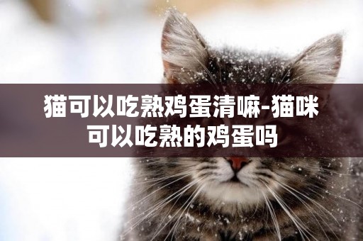 貓可以吃熟雞蛋清嘛-貓咪可以吃熟的雞蛋嗎