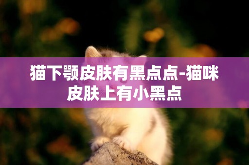 貓下顎皮膚有黑點點-貓咪皮膚上有小黑點