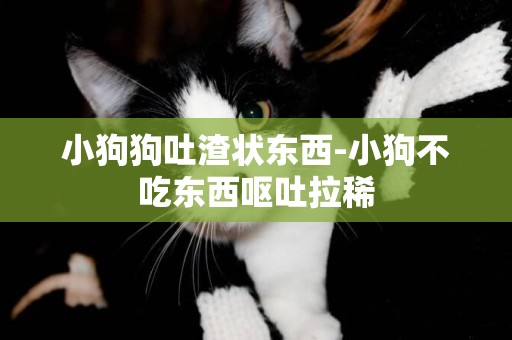 小狗狗吐渣狀東西-小狗不吃東西嘔吐拉稀