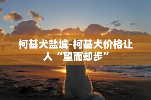 柯基犬鹽城-柯基犬價格讓人“望而卻步”