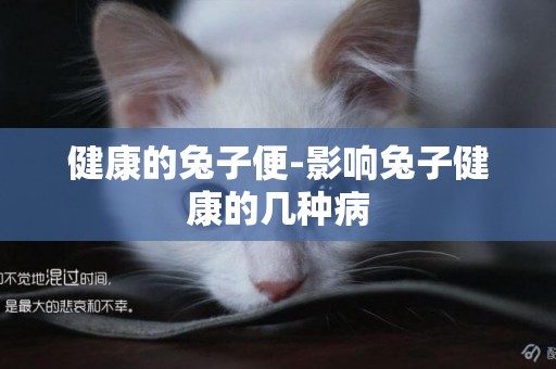 健康的兔子便-影響兔子健康的幾種病