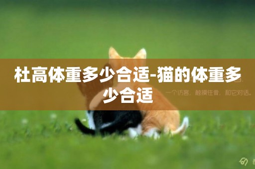 杜高體重多少合適-貓的體重多少合適