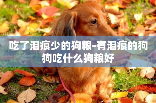 吃了淚痕少的狗糧-有淚痕的狗狗吃什么狗糧好