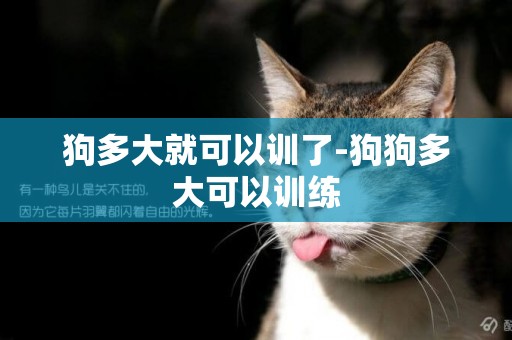 狗多大就可以訓了-狗狗多大可以訓練