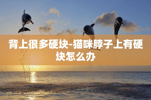 背上很多硬塊-貓咪脖子上有硬塊怎么辦