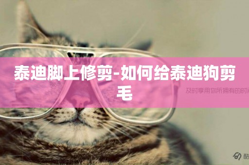 泰迪腳上修剪-如何給泰迪狗剪毛