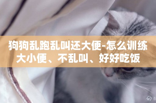 狗狗亂跑亂叫還大便-怎么訓練大小便、不亂叫、好好吃飯